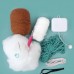 Nėrimo vąšeliu rinkinys AMIGURUMI MUZIKINĖ ŪDRA Nėrimo vąšeliu rinkinys AMIGURUMI MUZIKINĖ ŪDRA